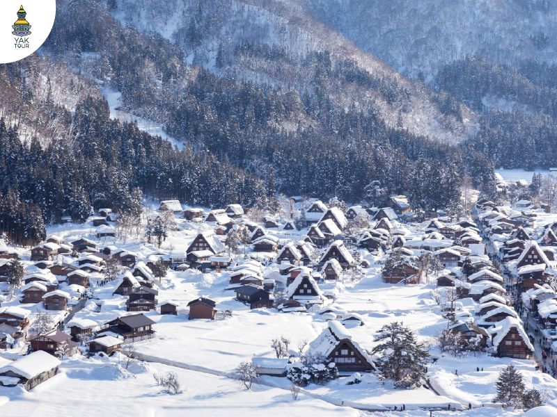 หมู่บ้านชิราคาวาโกะ หมู่บ้านมรดกโลกหลังคากัสโชโซคุริ