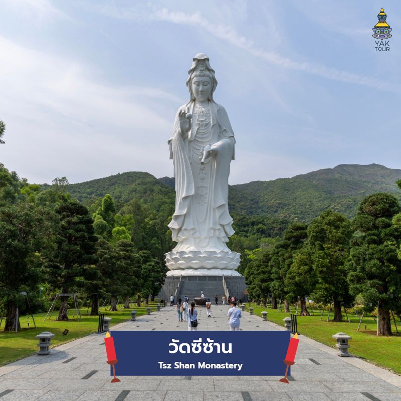 รูปปั้นเจ้าแม่กวนอิมสีขาวองค์ใหญ่ตั้งตระหง่านเหนือภูเขาที่วัดซีซ้าน