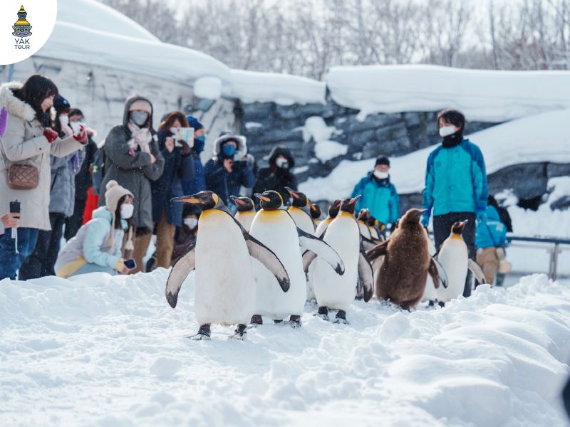 สวนสัตว์อาซาฮิยามะ อาซาฮิคาวะ ฮอกไกโด สวนสัตว์ชื่อดังที่จัดแสดงสัตว์ตามพฤติกรรมธรรมชาติ เที่ยวได้ทุกฤดู