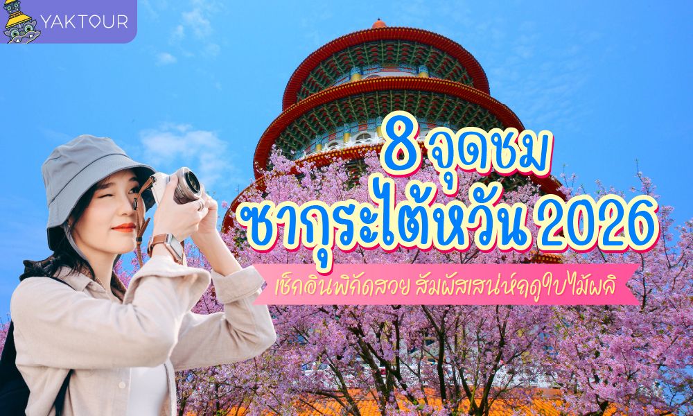 8 จุดชมซากุระไต้หวัน 2026 พิกัดสวยห้ามพลาด สัมผัสเสน่ห์ฤดูใบไม้ผลิ