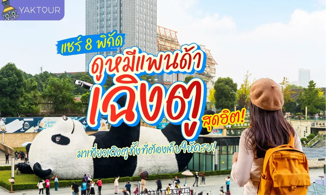 แชร์ 8 พิกัดดูหมีแพนด้าเฉิงตูสุดฮิต มาเที่ยวเฉิงตูทั้งทีต้องเก็บให้ครบ!