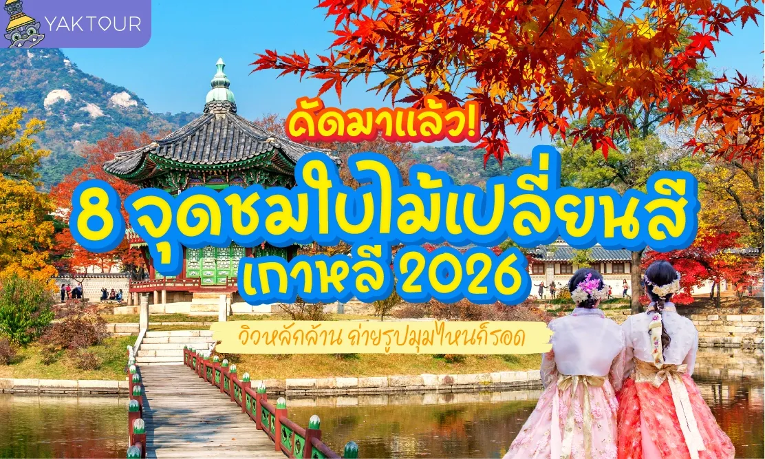 คัดมาแล้ว! 8 จุดชมใบไม้เปลี่ยนสี เกาหลี 2026 วิวหลักล้าน ถ่ายรูปมุมไหนก็รอด