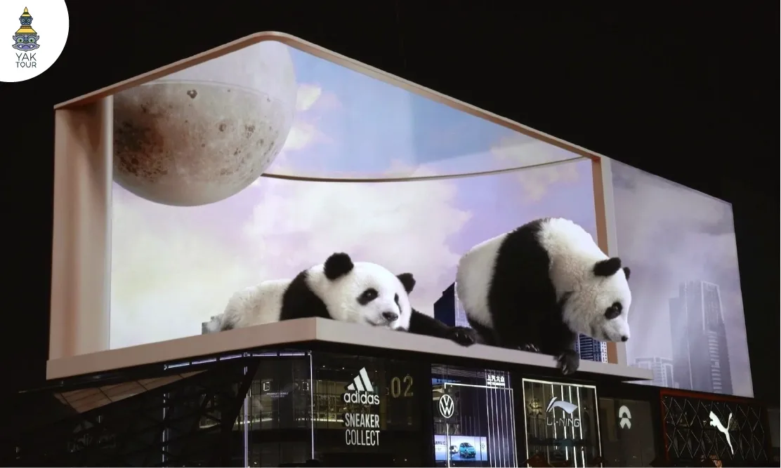 ภาพแอนิเมชันแพนด้าสามมิติทะลุจอบนจอแอลอีดียักษ์ตอนกลางคืนที่ห้าง Chengdu Taikoo Li