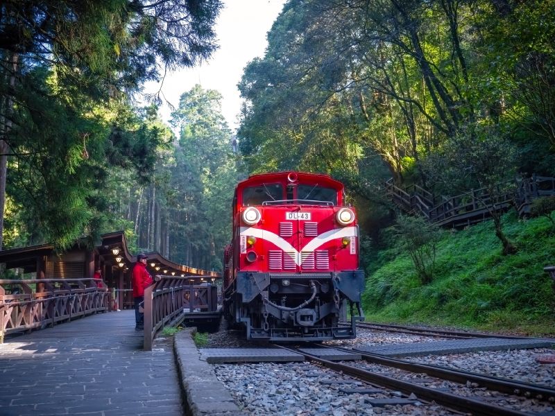 รถไฟโบราณสีแดงที่เป็นสัญลักษณ์ของการท่องเที่ยวอุทยานแห่งชาติอาลีซาน