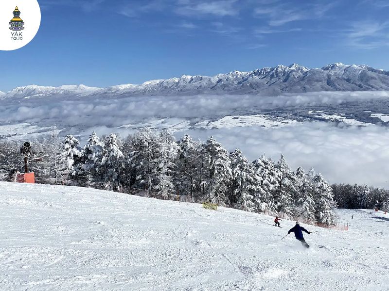 สกีรีสอร์ทญี่ปุ่นใกล้โตเกียว-Fujimi Panorama Resort