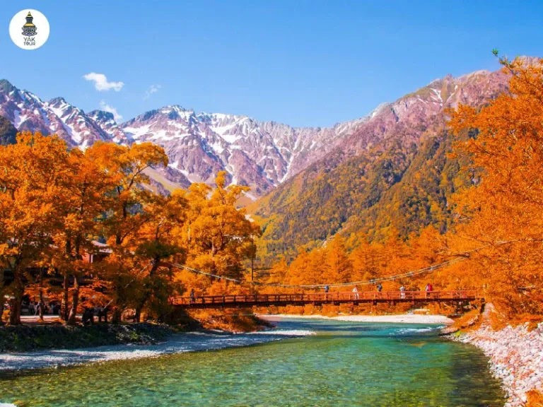 วิวสะพานไม้แขวนท่ามกลางใบไม้เปลี่ยนสีส้มทองและเทือกเขาแอลป์ญี่ปุ่นที่มีหิมะปกคลุมช่วงเดือนตุลาคม