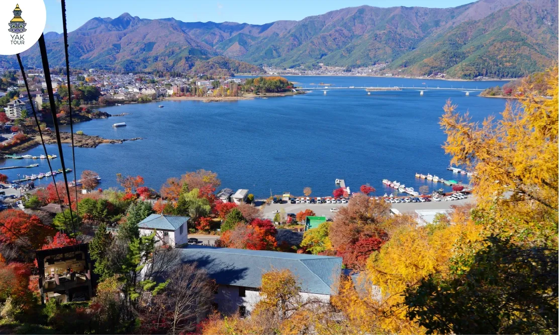วิวมุมสูงจากกระเช้า Mt. Fuji Panorama Ropeway เห็นทะเลสาบและใบไม้เปลี่ยนสี