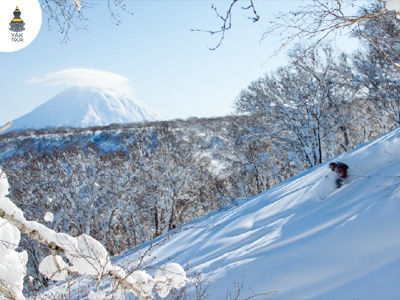 ภาพมุมกว้างของ นิเซโกะวิลเลจ