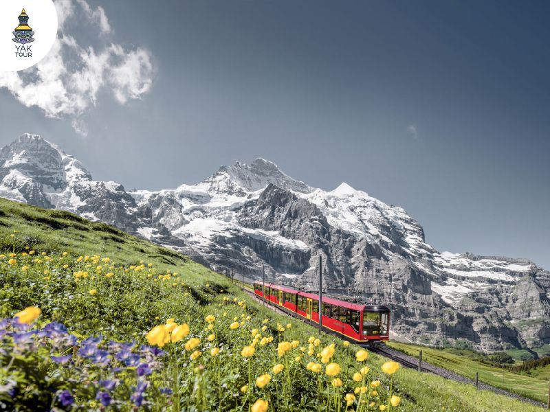 ที่เที่ยวสวิตเซอร์แลนด์-ยอดเขาจุงเฟรา