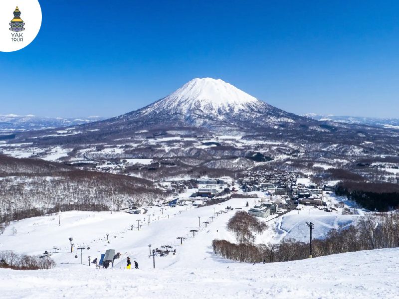 ลานสกีนิเซโกะ หิมะพาวเดอร์ชื่อดังของฮอกไกโด