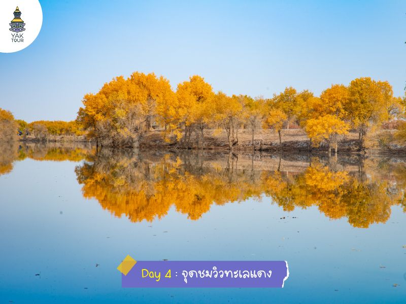 เที่ยวซินเจีย จุดชมวิวทะเลแดง