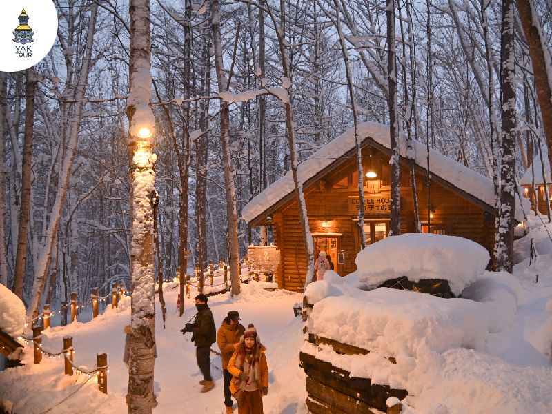 นิงเกิ้ลเทอร์เรซ หมู่บ้านไม้กลางหิมะ