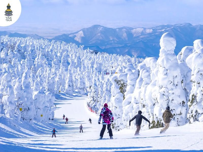 ปีศาจหิมะภูเขาซาโอะ ปรากฏการณ์ธรรมชาติฤดูหนาวญี่ปุ่น