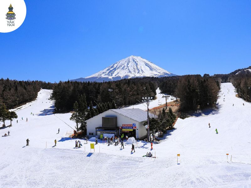 ฟูจิเท็นสกีรีสอร์ท เล่นสกีพร้อมวิวภูเขาไฟฟูจิ