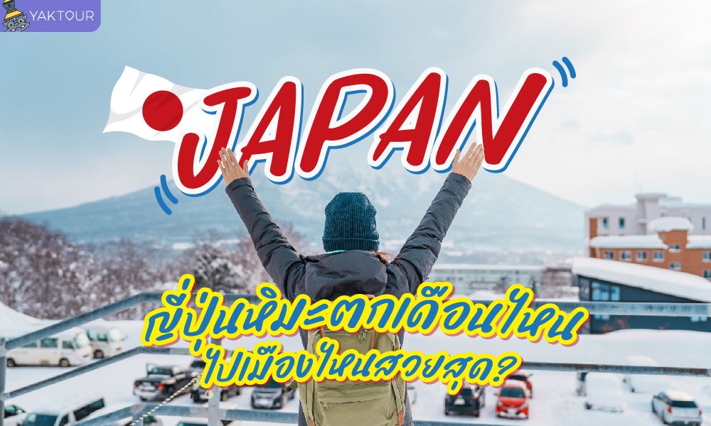 ญี่ปุ่นหิมะตกเดือนไหน? ไปเมืองไหนสวยสุด รวมที่เที่ยวญี่ปุ่นหน้าหนาวแบบจัดเต็ม