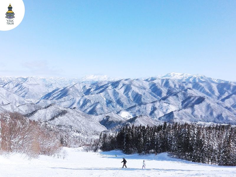 สกีรีสอร์ทญี่ปุ่นใกล้โตเกียว Norn Minakami Ski Report