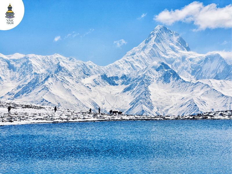 เฉิงตู ภูเขาหิมะการ์เซีย