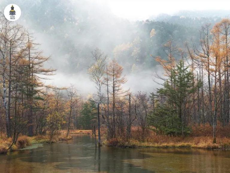 บรรยากาศบึงทะชิโระ (Tashiro Marshland) พื้นที่ชุ่มน้ำที่โอบล้อมด้วยขุนเขา