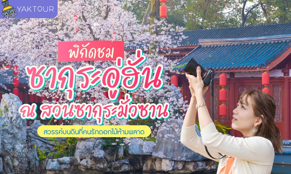 sakura-wuhan-moshan-cherry-blossom-park