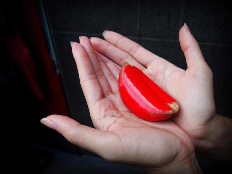 ไม้เสี่ยงทายสีแดงหรือเซ้งปวย ใช้สำหรับทำนายขอคู่กับเทพเจ้าเพื่อขอรับด้ายแดง ที่วัดหลงซาน ไต้หวัน