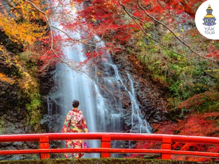 หุบเขามิโนะ โอซาก้า จุดชมใบไม้เปลี่ยนสีชื่อดังในฤดูใบไม้ร่วง