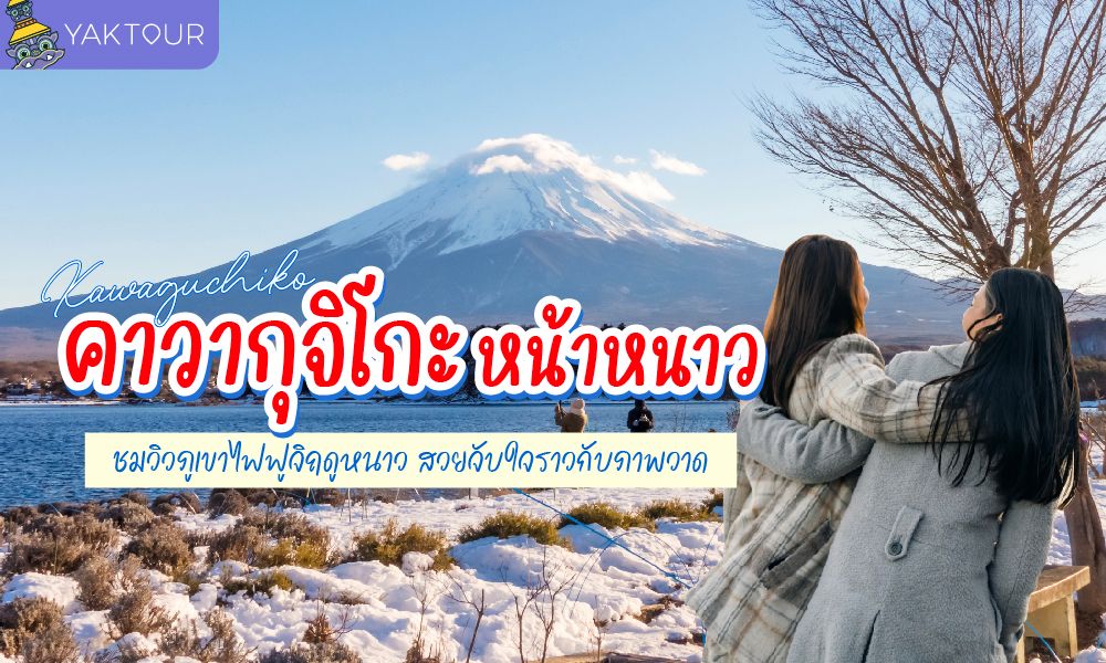 Kawaguchiko คาวากุจิโกะ หน้าหนาว ชมวิวภูเขาไฟฟูจิฤดูหนาว สวยจับใจราวกับภาพวาด