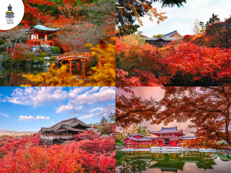 ที่เที่ยวเกียวโต-ฤดูใบไม้ร่วง-ใบไม้เปลี่ยนสี