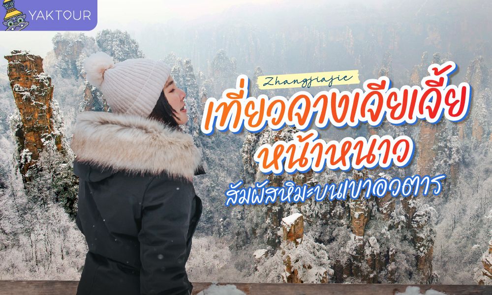 เที่ยวจางเจียเจี้ย (Zhangjiajie) หน้าหนาว สัมผัสหิมะบนเขาอวตาร