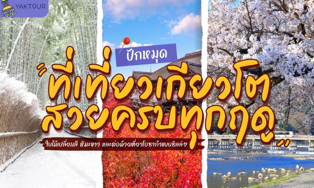 เที่ยวเกียวโต สวยทุกฤดู ชมใบไม้แดง หิมะขาว และทริปโอซาก้าแบบสบายๆ