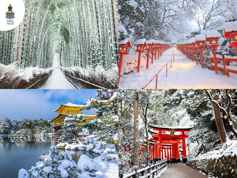 ที่เที่ยวเกียวโต-ฤดูหนาว-หิมะ