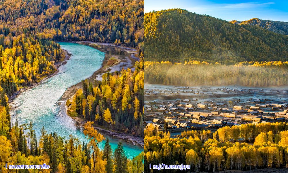 ทิวทัศน์ฤดูใบไม้เปลี่ยนสีในอัลไต โค้งน้ำสีฟ้าเทอร์ควอยซ์ของทะเลสาบคานาสือท่ามกลางป่าสีทอง และหมู่บ้านไม้เหอมู่ชุนท่ามกลางสายหมอกยามเช้า