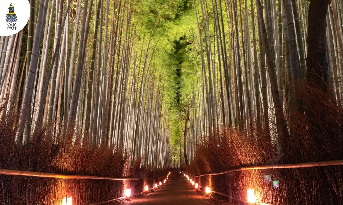 ทางเดินผ่านอุโมงค์ต้นไผ่สีเขียวชะลูดในย่าน Arashiyama