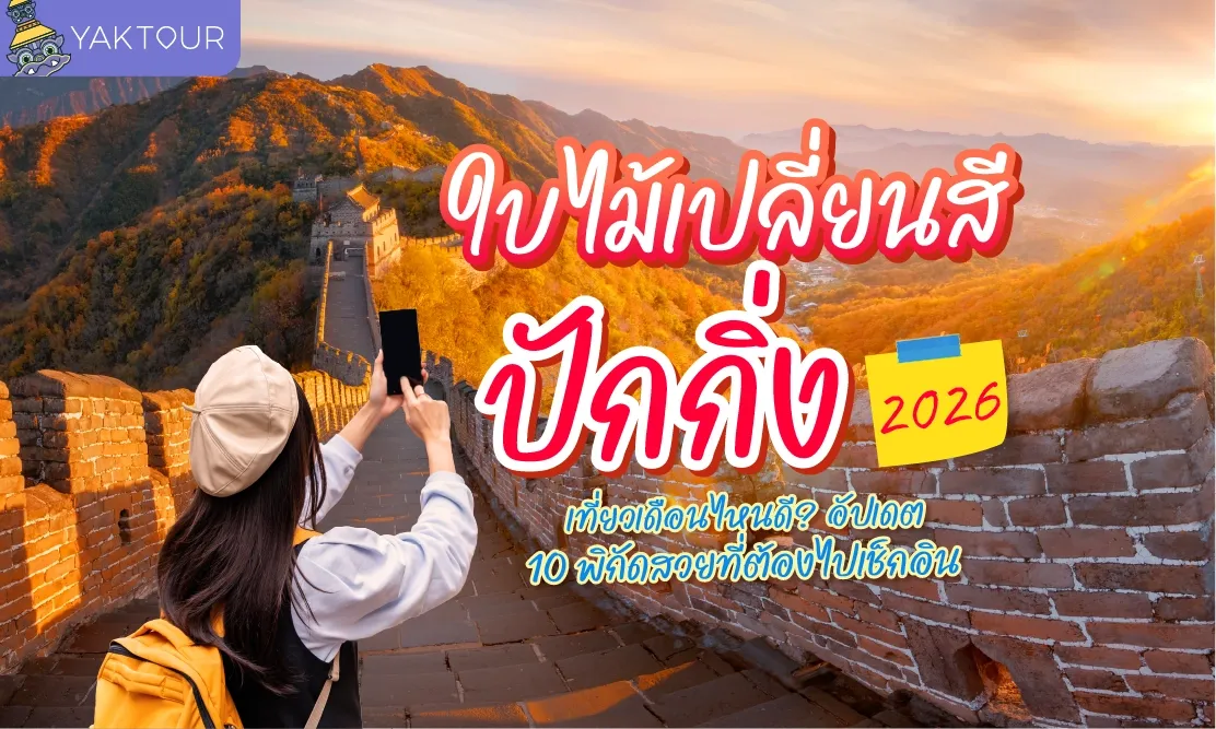 ใบไม้เปลี่ยนสี ปักกิ่ง 2026 เที่ยวเดือนไหนดี? อัปเดต 10 พิกัดสวยที่ต้องไปเช็กอิน