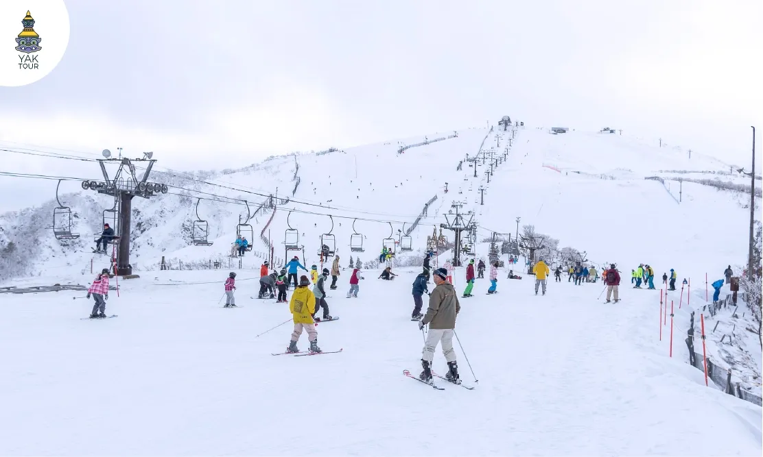 นักท่องเที่ยวสนุกกับการเล่นสกีบนลานหิมะสีขาวที่บิวาโกะ วัลเลย์