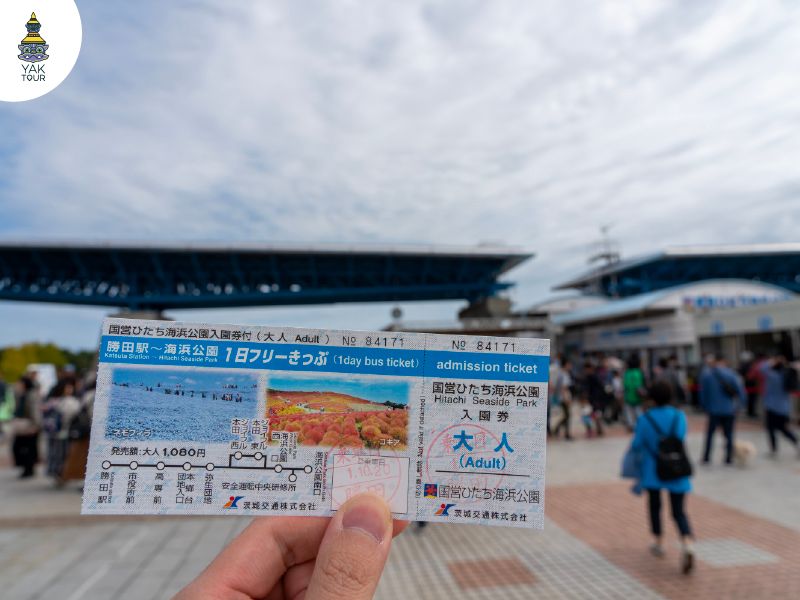 จองตั๋วเข้าชมสถานที่ล่วงหน้า เพื่อให้ได้ในราคาที่ถูกลง