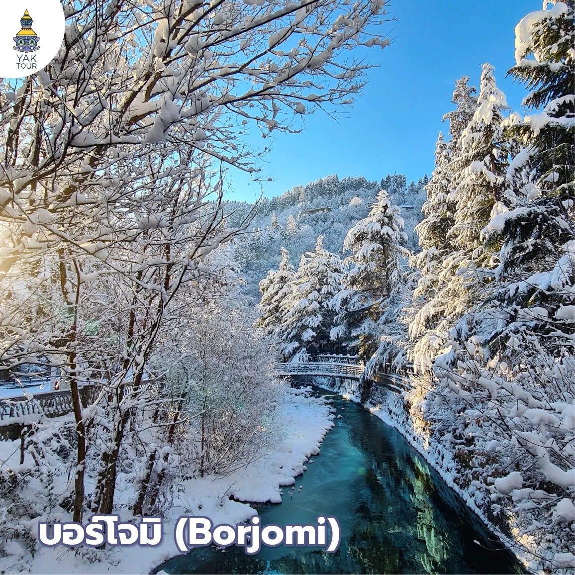 ลำธารน้ำแร่และป่าสนสีขาวโพลนในเมืองตากอากาศบอร์โจมิ