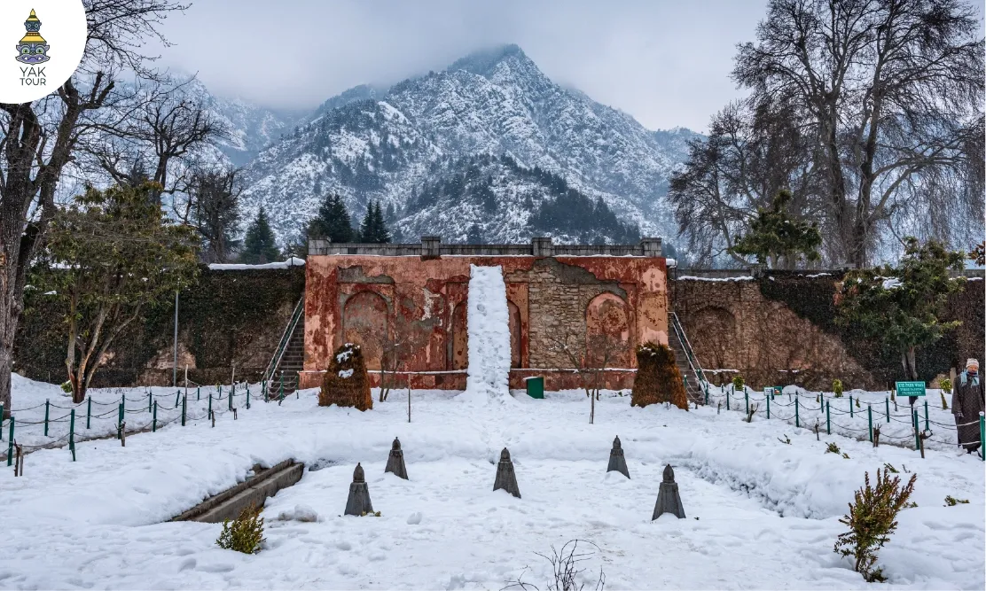 สวนโมกุลชัชมะชาฮีท่ามกลางหิมะ-Chashme-Shahi-Srinagar