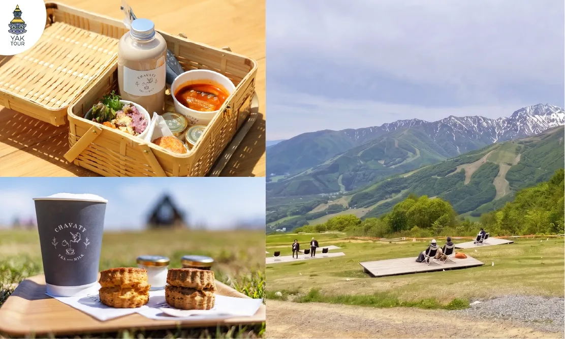 ชุดปิกนิกพร้อมตะกร้าหวายและชานมร้าน CHAVATY HAKUBA วางบนสนามหญ้าบนยอดเขา