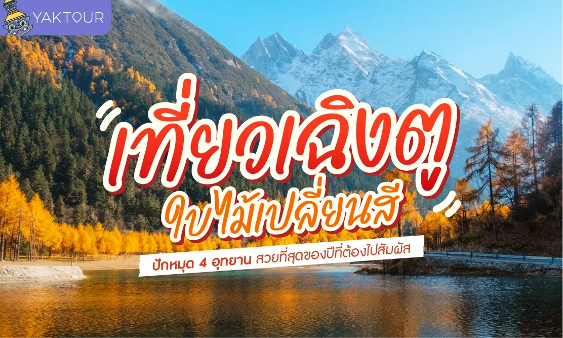 เที่ยวเฉิงตู ใบไม้เปลี่ยนสี ปักหมุด 4 อุทยาน สวยที่สุดของปีที่ต้องไปสัมผัส