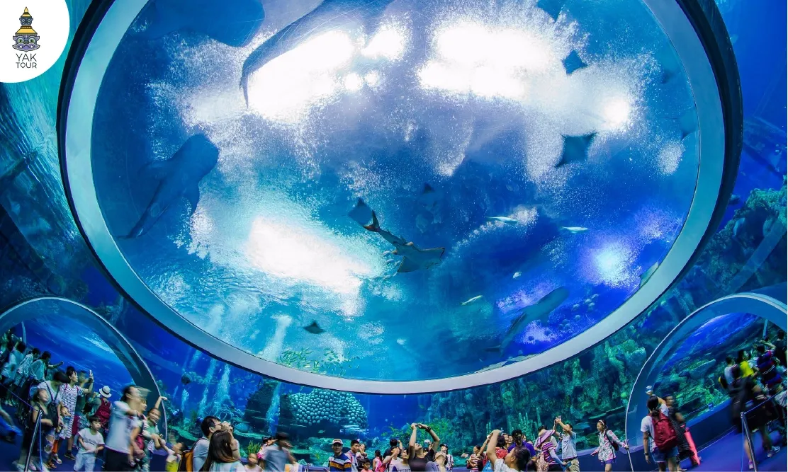 บรรยากาศตู้ปลาขนาดยักษ์ใน Chimelong Ocean Kingdom