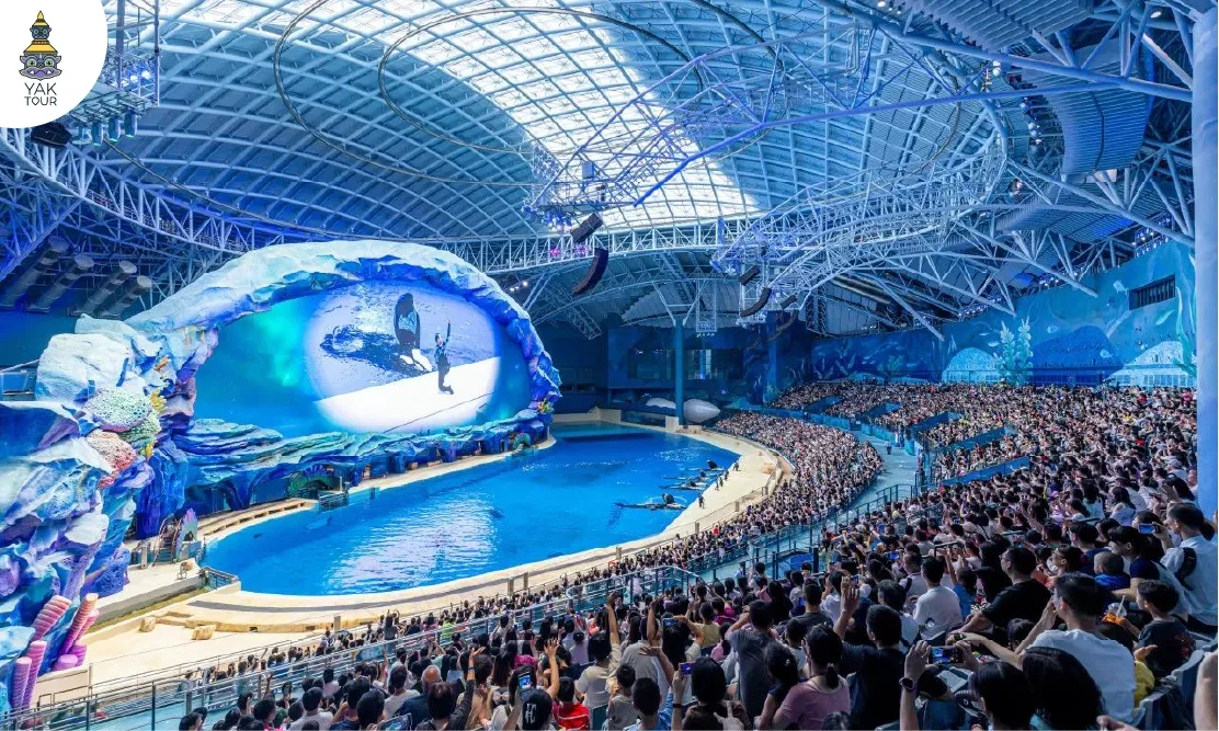 โชว์วาฬเพชฌฆาตสุดอลังการที่ Chimelong Spaceship Park