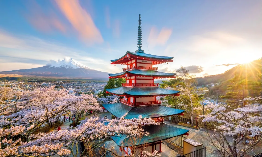 เจดีย์แดงชูเรโตะวิวภูเขาไฟฟูจิช่วงซากุระบาน