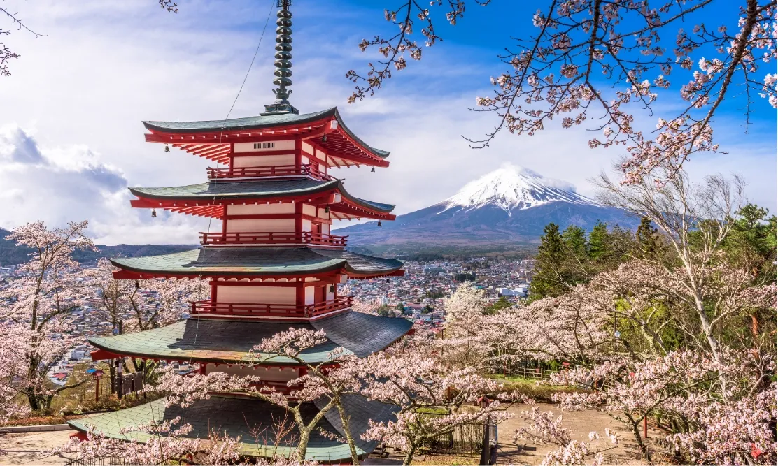 จดีย์แดง 5 ชั้นบนเนินเขาสวนอาราคุระยามะที่มีภูเขาไฟฟูจิเป็นฉากหลัง