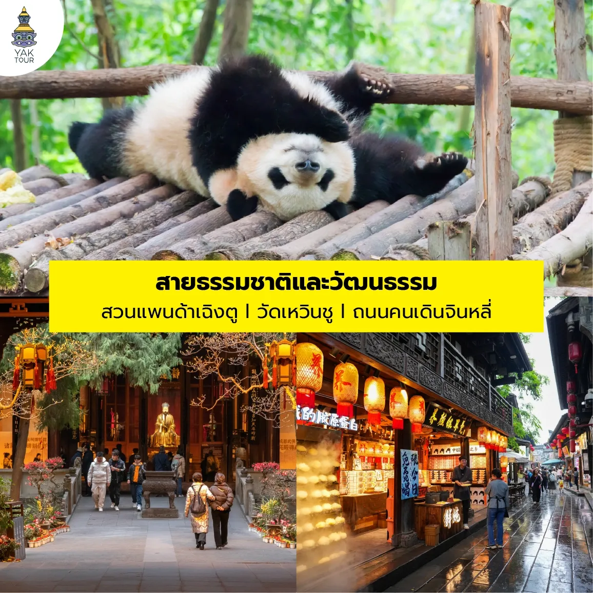 เส้นทางท่องเที่ยวสายธรรมชาติและวัฒนธรรม สวนแพนด้าเฉิงตู วัดเหวินชู และถนนคนเดินจินหลี่