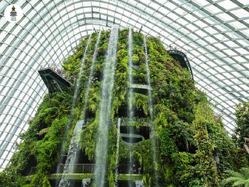  ภูเขาจำลองและน้ำตกขนาดมหึมาท่ามกลางไอหมอกในคลาวด์ฟอเรสต์โดมป่าดิบชื้น พิกัดยอดฮิตของ ที่เที่ยวสิงคโปร์ 2026