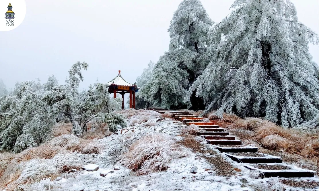 พื้นที่นันทนาการป่าสงวนแห่งชาติต้าเสวี่ยซาน Daxueshan ในช่วงฤดูหนาวที่มีหิมะปกคลุมขาวโพลนดูสวยงาม