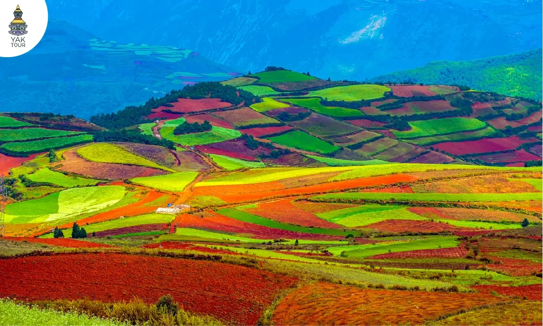 ทัศนียภาพนาขั้นบันไดหลากสีสันตัดสลับกับผืนดินสีแดงที่ภูเขาเจ็ดสีตงชวน