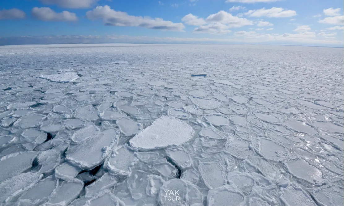 ปรากฏการณ์แผ่นน้ำแข็ง Drift Ice ลอยละลานตาเหนือทะเลโอค็อตสค์ในฤดูหนาว