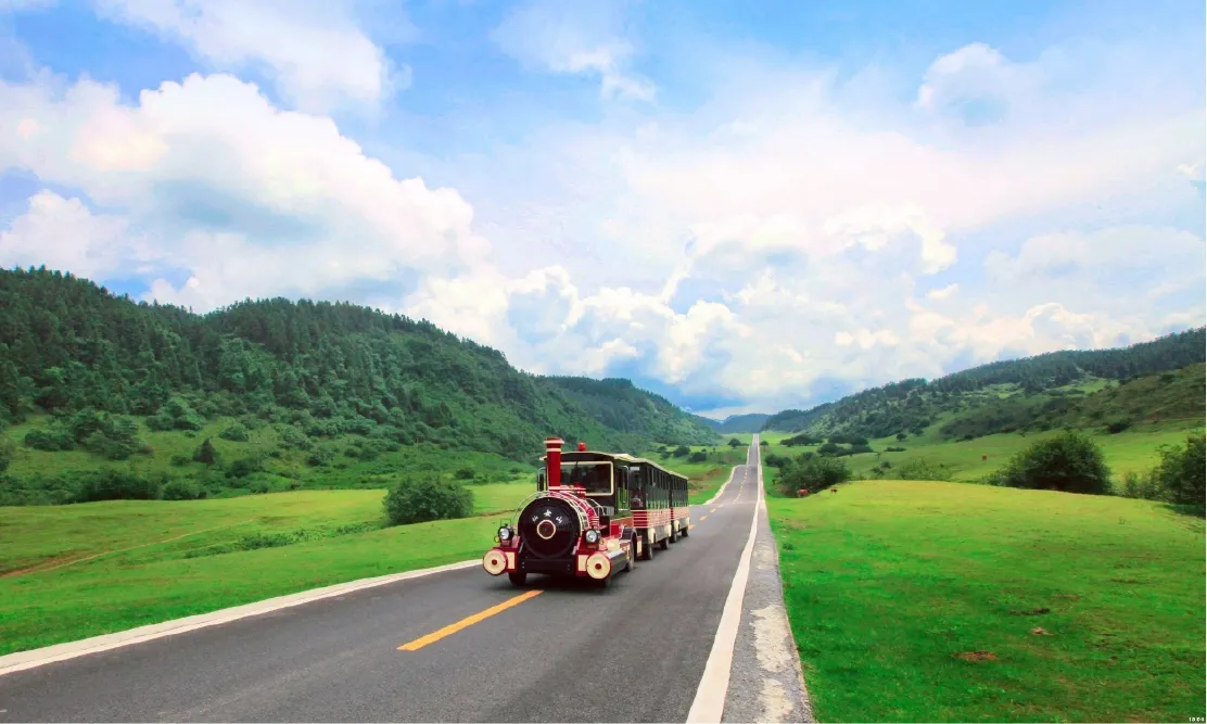 วิวทุ่งหญ้าอัลไพน์และป่าสนใน อุทยานเขานางฟ้า (Fairy Maiden Mountain) เมืองอู่หลง