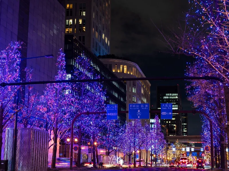 แสงไฟ Illumination สีม่วงและน้ำเงินประดับบนต้นไม้เลียบถนนสายหลักในโอซาก้า